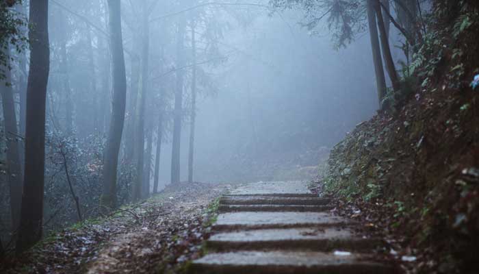 形容初冬早晨美好的古诗 形容冬季早晨美好的古诗