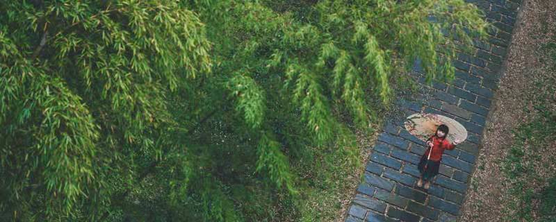 莲花池外少行人,野店苔痕一寸深全诗 野店苔痕一寸深全诗翻译