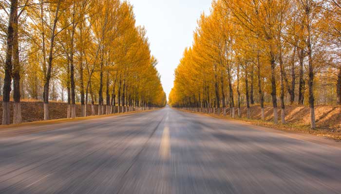 家乡的秋天写一段话 我喜欢家乡的秋天写一段话