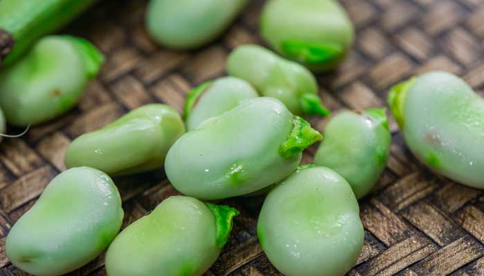 稻麦黍菽稷怎么念  稻粱菽麦黍稷怎么念