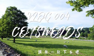 西瓜vlog学院毕业就可以加v吗 需要定期发送优质的视频