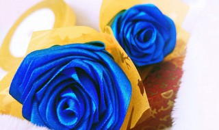 丝带玫瑰花教程视频 教你做好看的玫瑰花