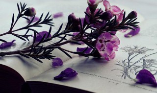 抖音热门配文必火文案大全（抖音必火文案全集）