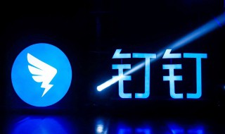钉钉视频会议怎么查看参加人数 钉钉会议视频结束后可以查看人数嘛?