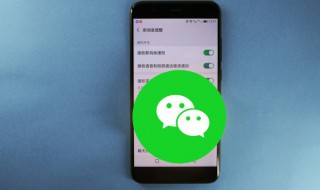 微信电话静音是静音别人还是自己（微信电话静音是静谁的音）