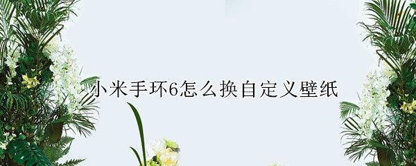 小米手环6怎么换自定义壁纸 小米手环6怎么更换自定义壁纸