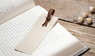 红楼梦13回概括 红楼梦13回大概讲的啥