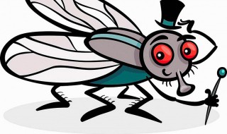 梦见打死很多苍蝇 睡觉的时候梦见打死很多苍蝇的意思