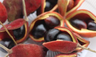 凤眼果怎么剥皮快 凤眼果如何剥皮快