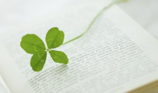 醲怎么读 怎么读醲