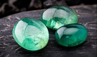 如何养翡翠 怎样养翡翠