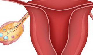 卵巢保养新方法 卵巢保养新方法的妙招