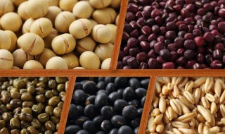 去湿气最快的好方法 去湿气方法