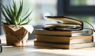 坚怎么组词 坚如何组词