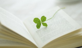 傅怎么组词 傅如何组词