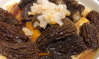 羊肚菌的食用做法及食用注意 羊肚菌的食用做法及食用注意是什么