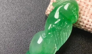 翡翠鹦鹉的寓意 翡翠鹦鹉有如下寓意
