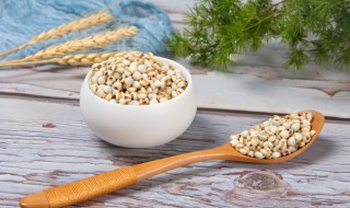 炒薏米要炒几分钟 炒薏米要炒多久