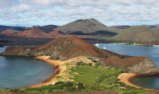 厄瓜多尔的特产是什么(厄瓜多尔盛产什么水果)