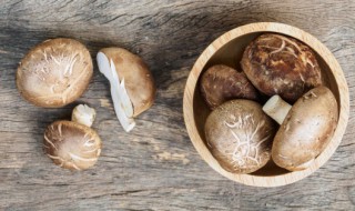 香菇炖肉的做法（香菇炖肉的做法大全）