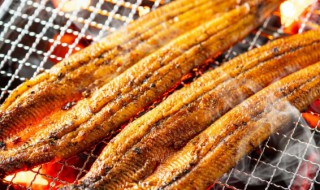 烤鱼可以加那些配菜 烤鱼里面可以加什么配菜