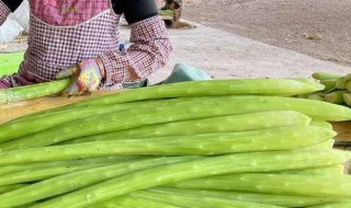 贡菜为什么要晒干 贡菜怎么晾晒