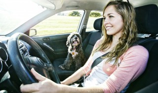 新手上道开车注意事项（新手上道路开车注意什么）