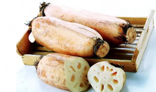 合肥中秋吃藕是为什么（合肥中秋吃无丝藕吗）