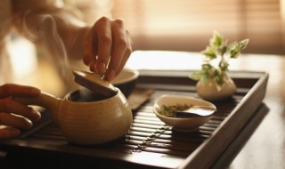 新鲜蔓越莓泡水可以加什么在里边呢 新鲜蔓越莓可以用开水泡吗