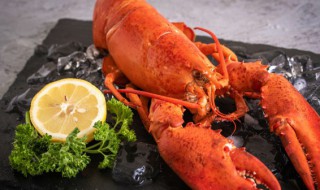 龙虾血液是什么颜色 通常龙虾的血液是什么颜色的