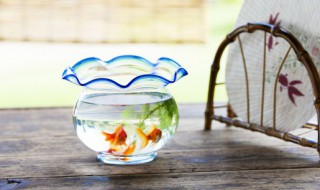 梦到鲤鱼 梦到鲤鱼跳龙门