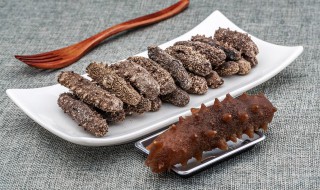 活海参怎么处理不损失营养 海参怎么做营养不流失