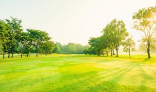 带青字的网名 带青字的网名两个字