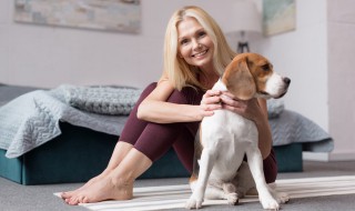 如何在家训练小狗（家养狗如何训练）