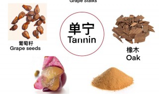丹宁是什么 丹宁是什么牌子