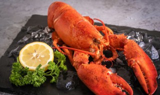 如何捕捉小龙虾 如何捕捉小龙虾?