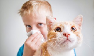 如何阻止猫咪在后院大小便（怎样防止猫在院子里大便）