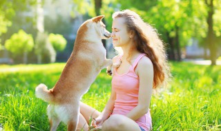 如何阻止狗狗打斗 狗打架的时候怎么制止