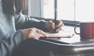 春节日记300字左右 春节日记300字左右六年级