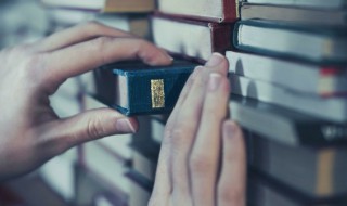 臂字组词和造句（臂字咋组词）