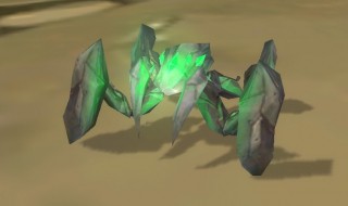 翡翠牙是什么（翡翠马牙根是什么）