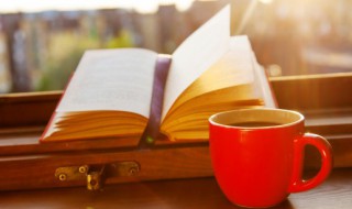 炒的组词和造句（炒的组词怎么写）