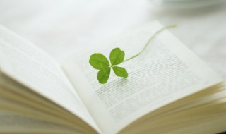 东的组词和造句（东组词造句子）