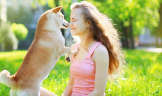 如何让狗在炎热的天气里保持凉爽（天气热如何给狗狗降温）