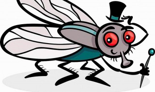 如何让苍蝇远离宠物狗（家里有宠物怎么驱苍蝇）