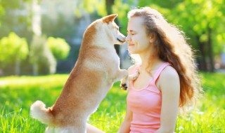 如何帮助狗狗生幼崽（小狗怎么生小狗崽）