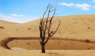 如何从流沙中逃生 怎么从流沙中逃生