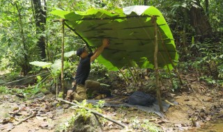 如何在丛林中求生（丛林野外生存求生）