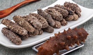 干货潮了怎么办（干货受潮了怎么办）