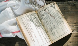 金麦奖是什么 金麦奖是什么b2v